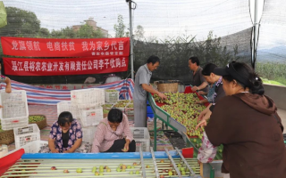 云南云创科技有限公司 电商扶贫 云南这家本土互联网企业这样做