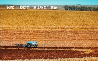 中国科技教育期刊 中国科技期刊卓越行动计划推介：《中国科学：数学》2025年第5期